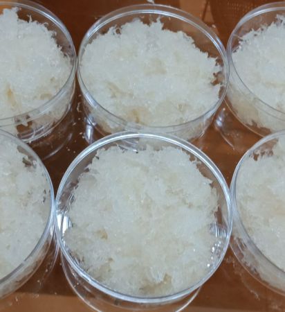 Yến tươi sợi nhỏ (100g)