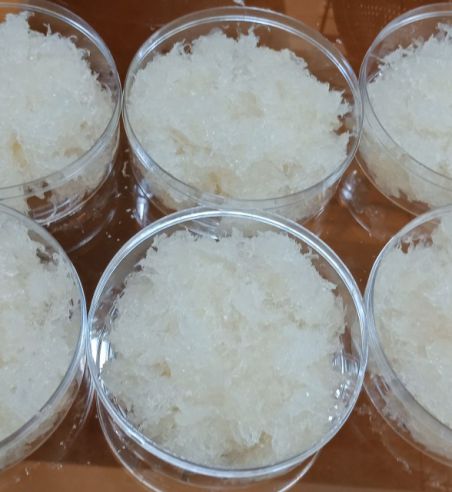 Yến tươi sợi nhỏ (100g)