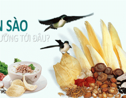 15 Công dụng của tổ yến và những cách dùng và chế biến không mất dinh dưỡng