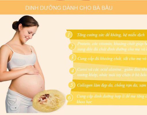 Tác dụng của Yến đối với phụ nữ mang thai