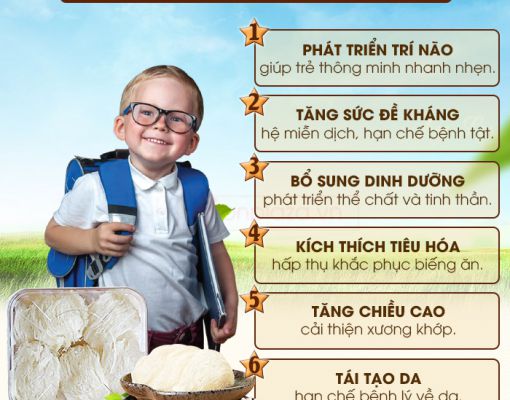 Tác dụng của yến sào với trẻ em tốt như thế nào?