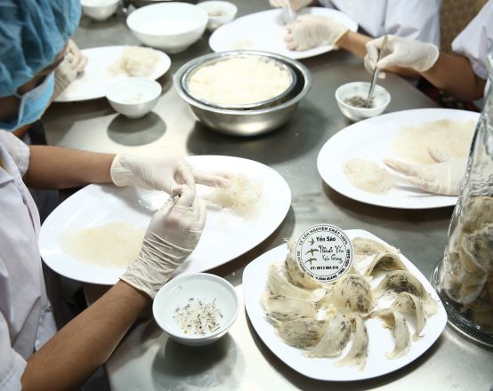 Sơ chế yến thô