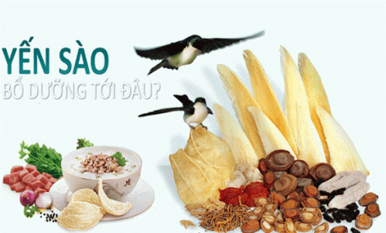 15 Công dụng của tổ yến và những cách dùng và chế biến không mất dinh dưỡng