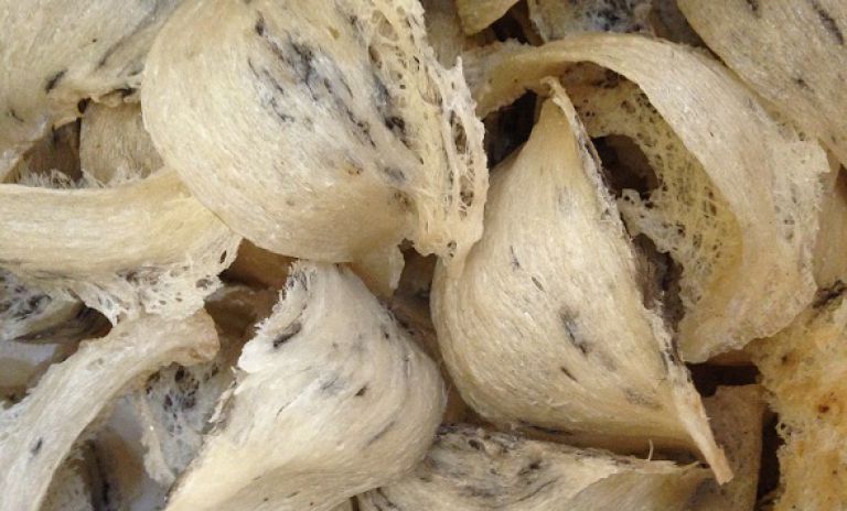 Địa chỉ bán yến sào, yến hũ uy tín chất lượng tại Kiên Giang